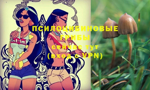 альфа пвп Бородино