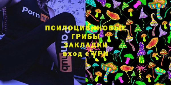 спиды Бугульма