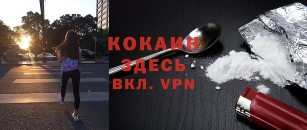 шишки Волосово