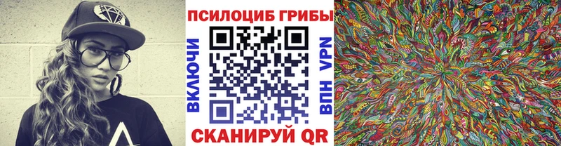 Купить где  Лосино-Петровский  Псилоцибиновые грибы Psilocybe 